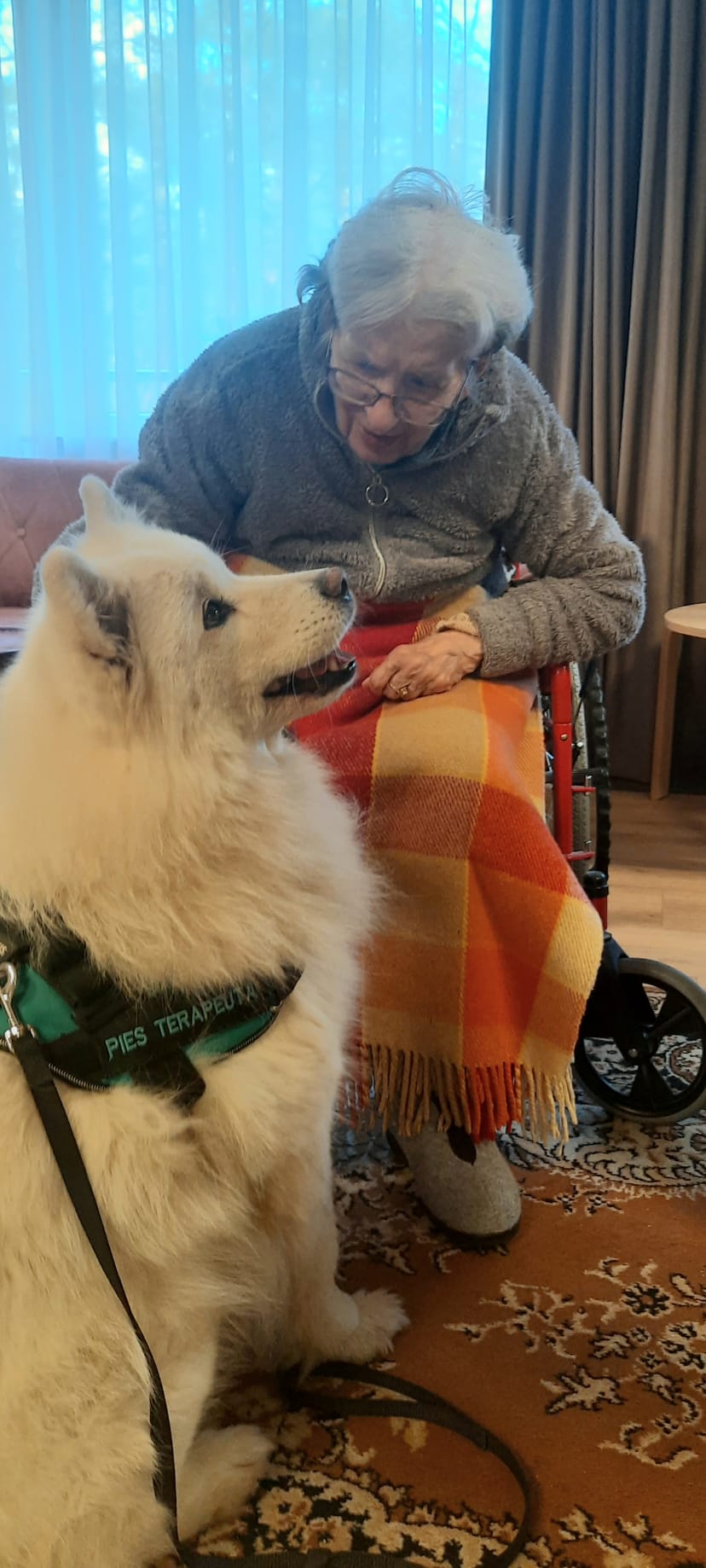 5964d4c6-e199-4eba-a003-854fac9140a8