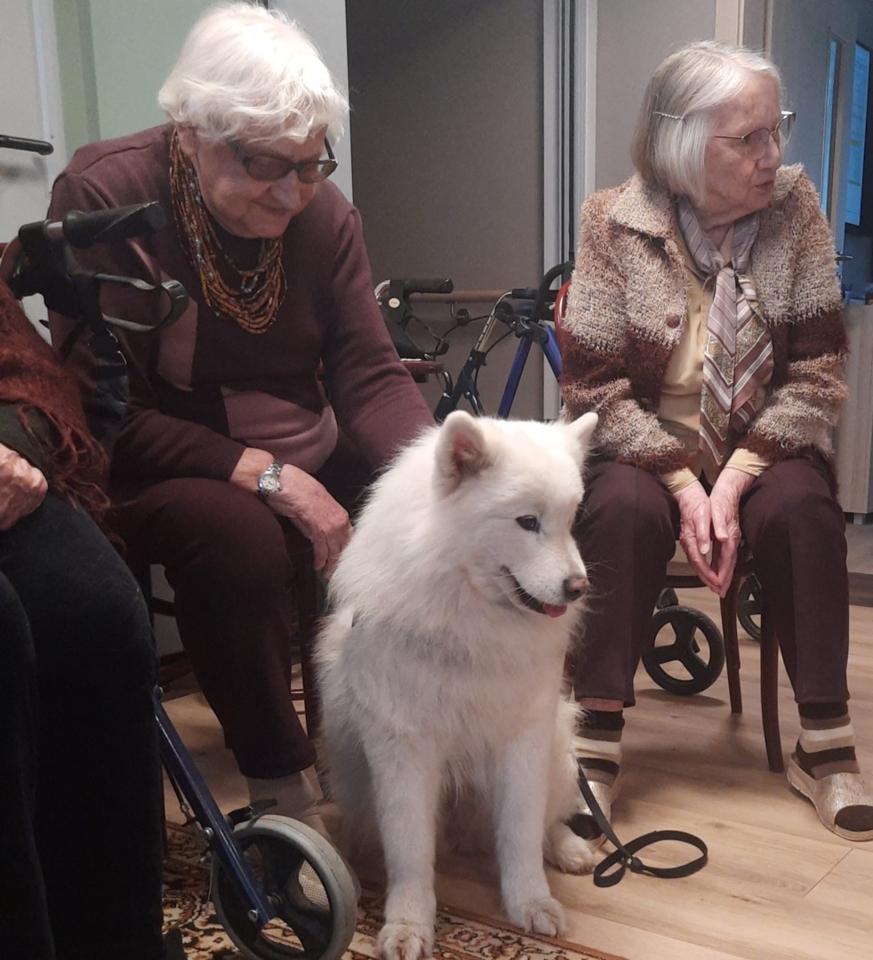 9d0c2e8d-e5e7-4ce8-8982-49eea2090a60