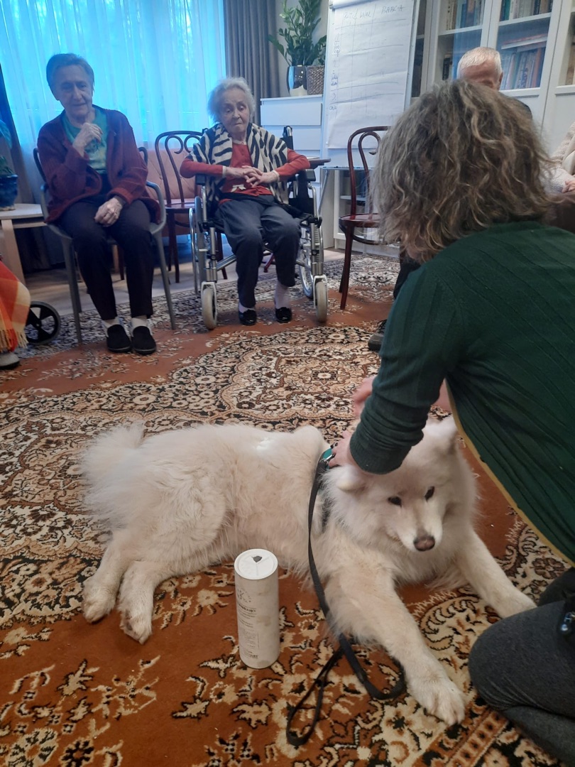 c72e364b-5fc9-40e1-afae-932f32418001