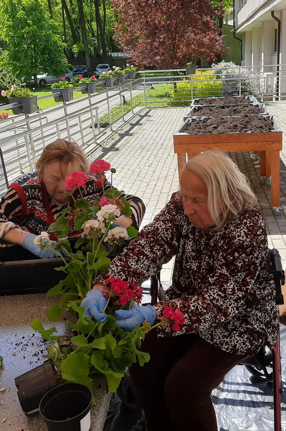 499495329_1142789137653300_3634528123337191218_n