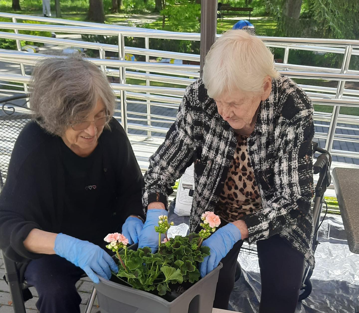 499781775_1142789114319969_4154748300852301405_n